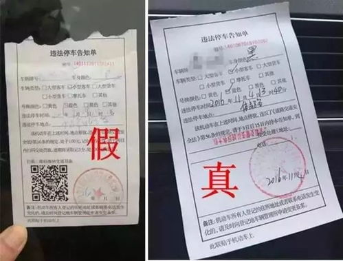 湖州汽车罚单罚款多少