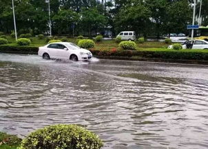 水浸汽车多少厘米