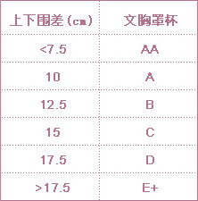 汽车多少码与罩杯