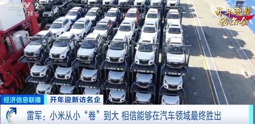 小米汽车避雷价格多少