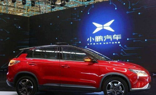 兴文汽车租赁首付多少