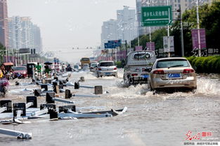 河南暴雨汽车伤亡多少