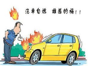 汽车自燃全额赔付多少