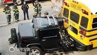 汽车撞死多少虫子
