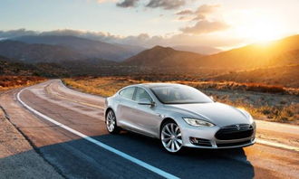 湖北特斯拉汽车有多少