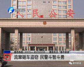 长垣汽车有多少辆