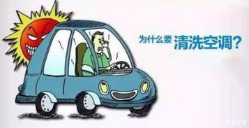 汽车细菌超过多少