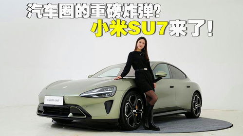 小米汽车投了多少亿