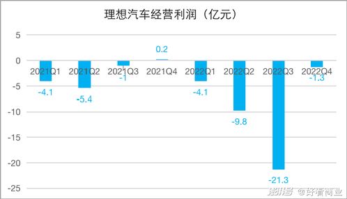 理想汽车全年亏损多少