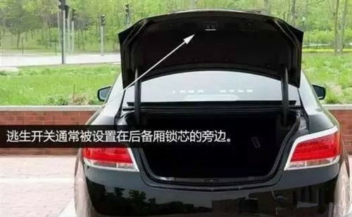 汽车的秘密有多少