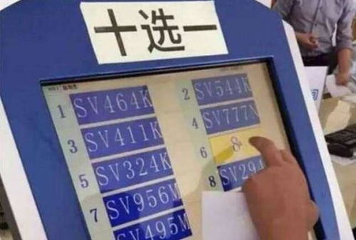 汽车选号能选多少
