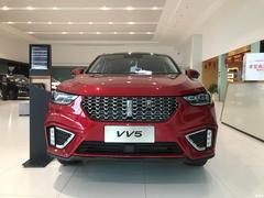 wey 300汽车售价多少