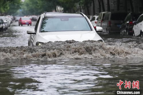 河南淹了多少辆汽车