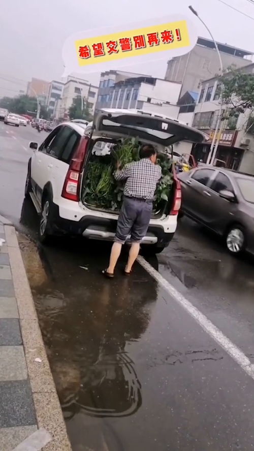 摆摊汽车多少钱