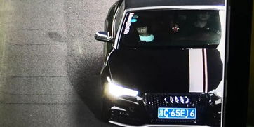 汽车牌套价格多少