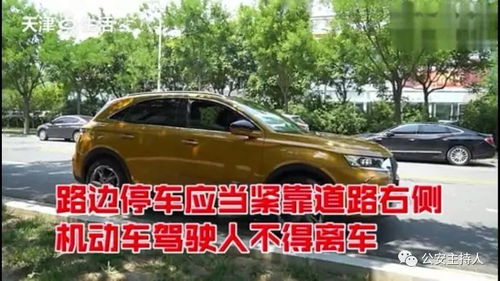 汽车临时多少钱