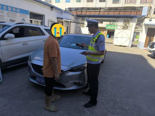 偷汽车违法处罚多少