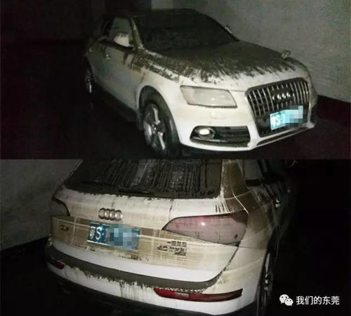 涿州汽车淹了多少辆车