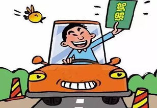 呈贡汽车教练工资多少
