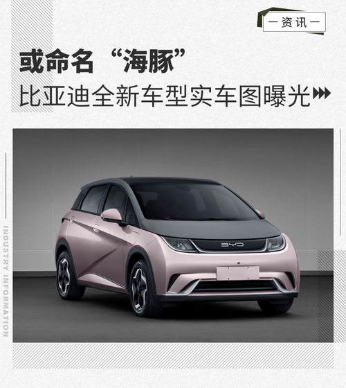 比亚迪汽车海豚赠送多少