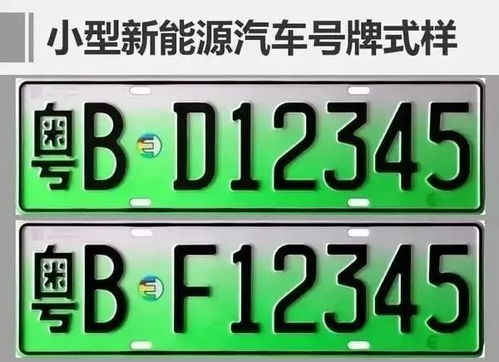 天津汽车拍号名额多少