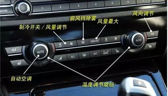 军队汽车有多少按钮