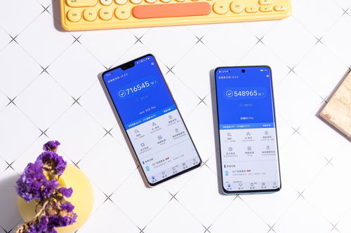 荣耀60参数 - 荣耀60参数详细参数价格