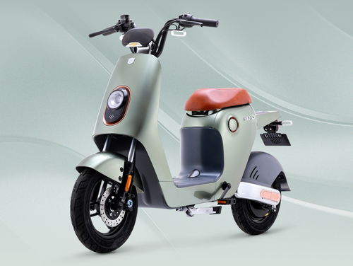 绿源电动车质量展示