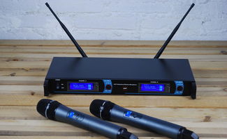 无线话筒十大名牌-无线话筒品牌哪个好