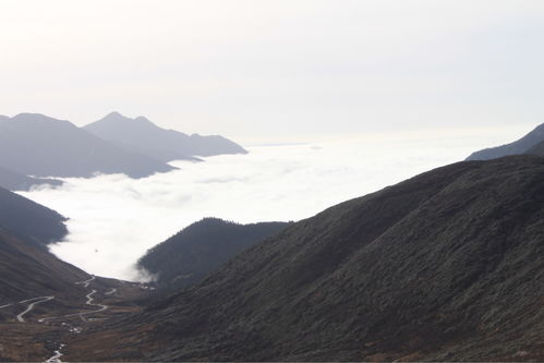 只在此山中-只在此山中云深不知处这句话的意思