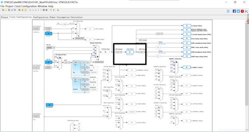 arm怎么读-warm怎么读