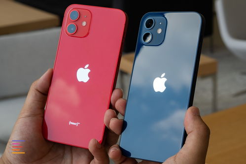 iphone12价格-二手iphone12价格