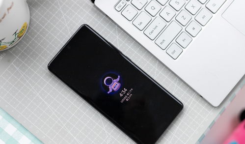 小米12什么时候发布上市-小米12上市时间及价格