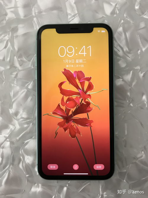 苹果x和xs哪个值得入手-苹果xs和11哪个好