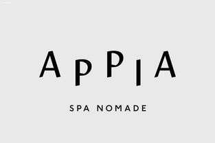 administration-administration翻译成中文