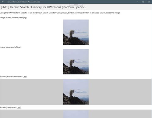 image-image是什么文件夹