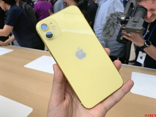 iphone11大概多少钱-苹果11 大概多少钱
