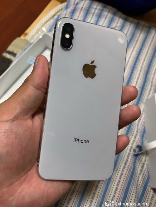 苹果iphone11官网报价-apple11官网报价