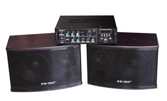 专业音响品牌排行榜前十名-专业音响品牌排行榜前十名有哪些