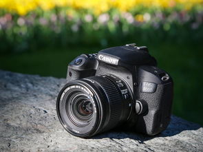 佳能200d-佳能200d二代