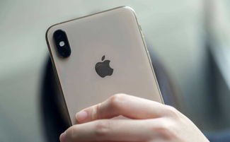 iphonexs现在什么价格-iPhoneXs价格