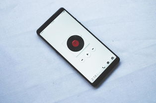 2500元左右性价比最高的手机-2500元左右性价比最高的手机推荐