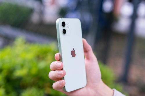 苹果iphone13系列尺寸-苹果13系列的尺寸