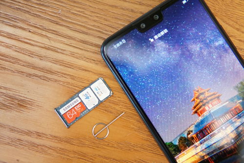 畅享9plus上市时间-畅享9plus上市价格