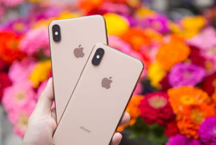 苹果最新款手机是哪款,苹果最新款手机是哪款2023多少钱