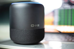 智能音箱,智能音箱需要连接的设备