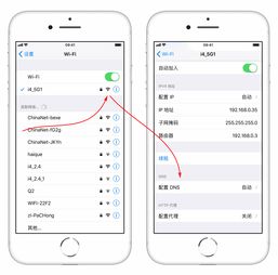 无法连接到appstore,能上网但无法连接到appstore