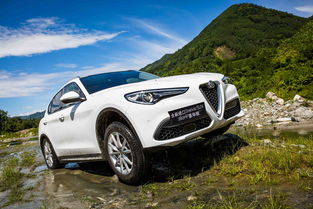 阿尔法罗密欧suv报价及图片,阿尔法罗密欧汽车价格及图片