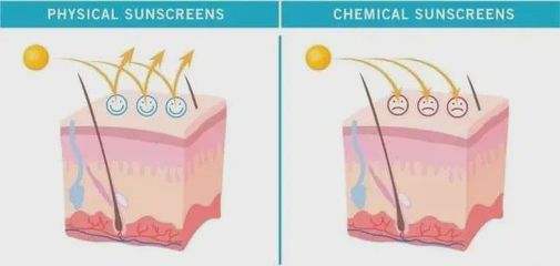 physical,physical education