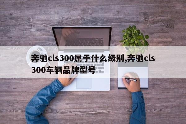 奔驰cls300属于什么级别,奔驰cls300车辆品牌型号